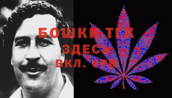 тгк Аркадак