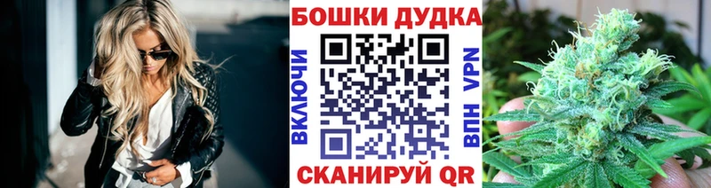 Канабис гибрид  Холм 